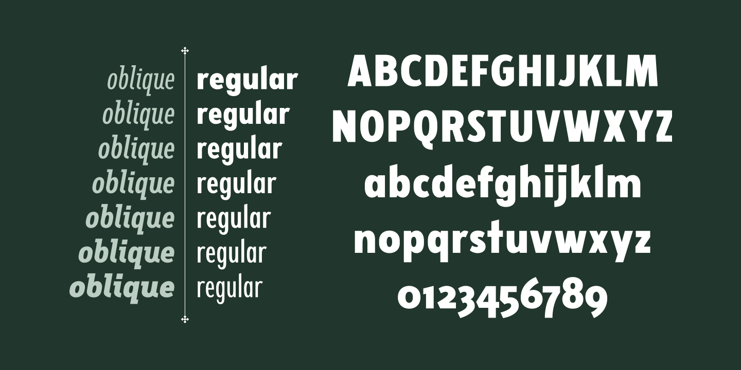 Ejemplo de fuente Fellbaum Grotesk Light Italic